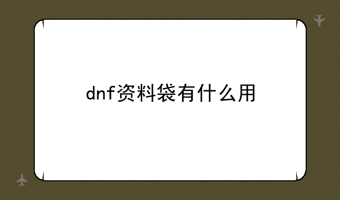 dnf资料袋有什么用