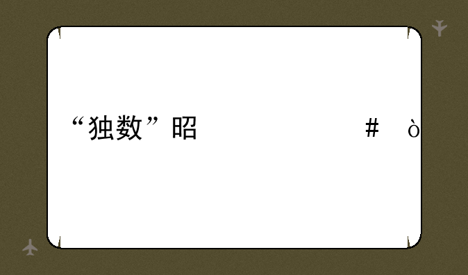 “独数”是什么？