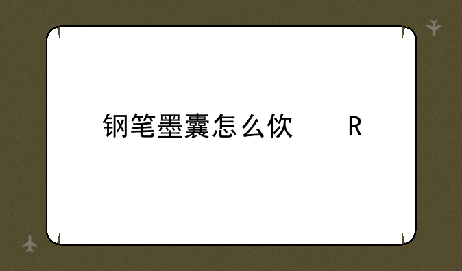 钢笔墨囊怎么使用