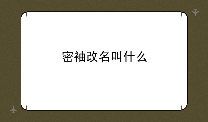 密袖改名叫什么