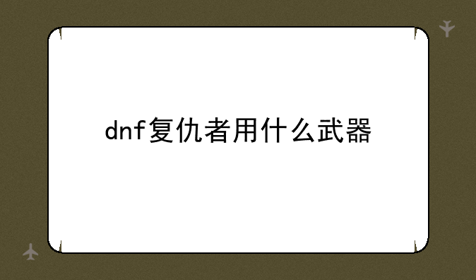 dnf复仇者用什么武器