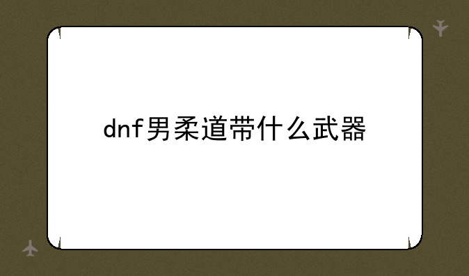 dnf男柔道带什么武器