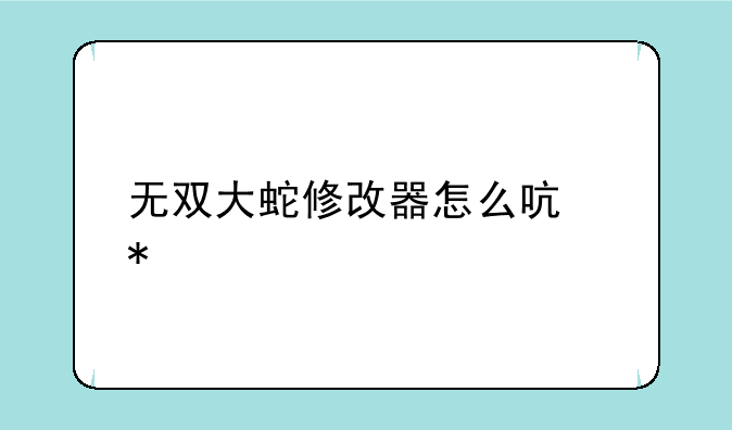 无双大蛇修改器怎么启动