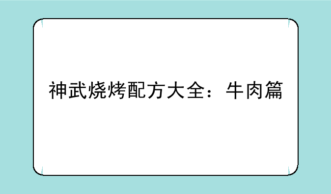 神武烧烤配方大全：牛肉篇