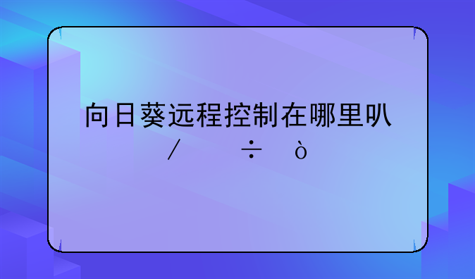 向日葵远程控制在哪里可以下载？