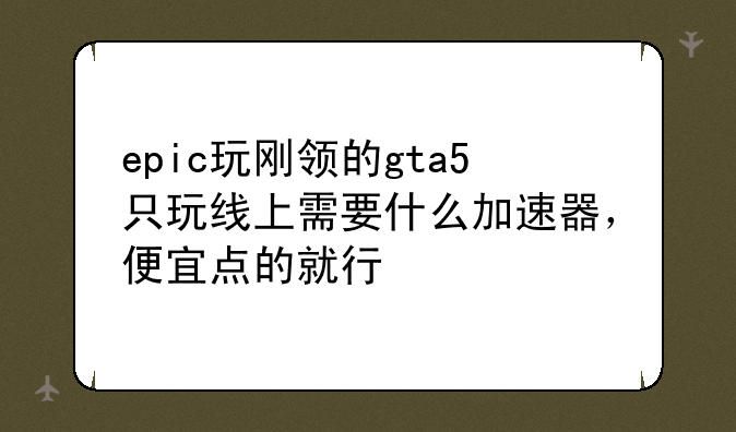 epic玩刚领的gta5只玩线上需要什么加速器，便宜点的就行😁？