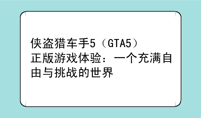 侠盗猎车手5（GTA5）正版游戏体验：一个充满自由与挑战的世界