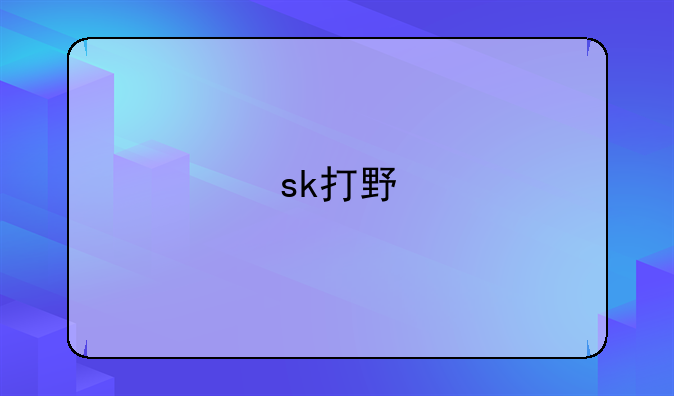 sk打野