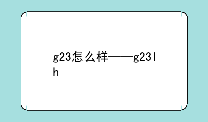 g23怎么样——g23lh