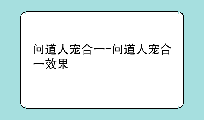 问道人宠合一-问道人宠合一效果