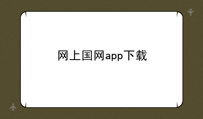 网上国网app下载