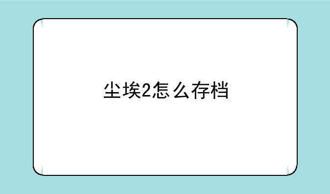 尘埃2怎么存档