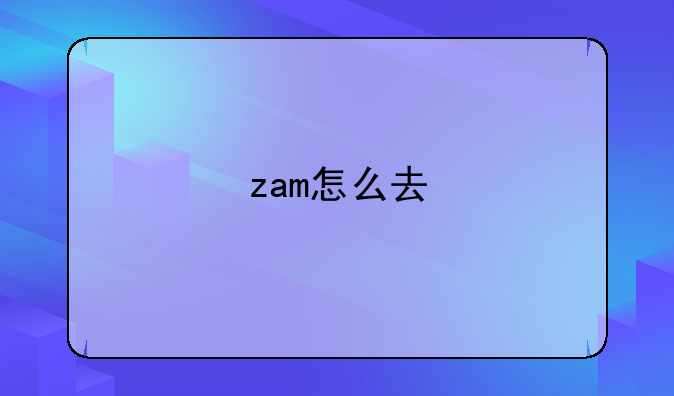 zam怎么去